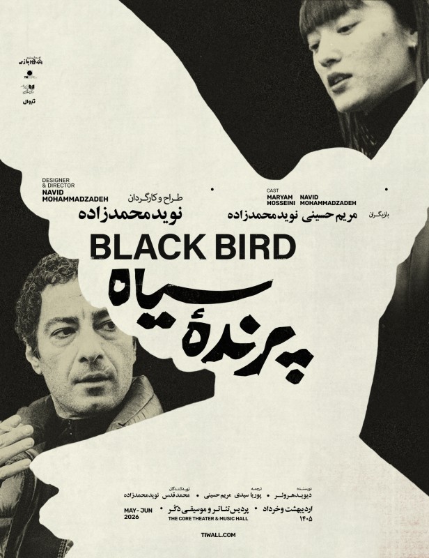 پرنده‌ی سیاه