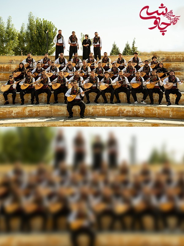 گروه شانوا